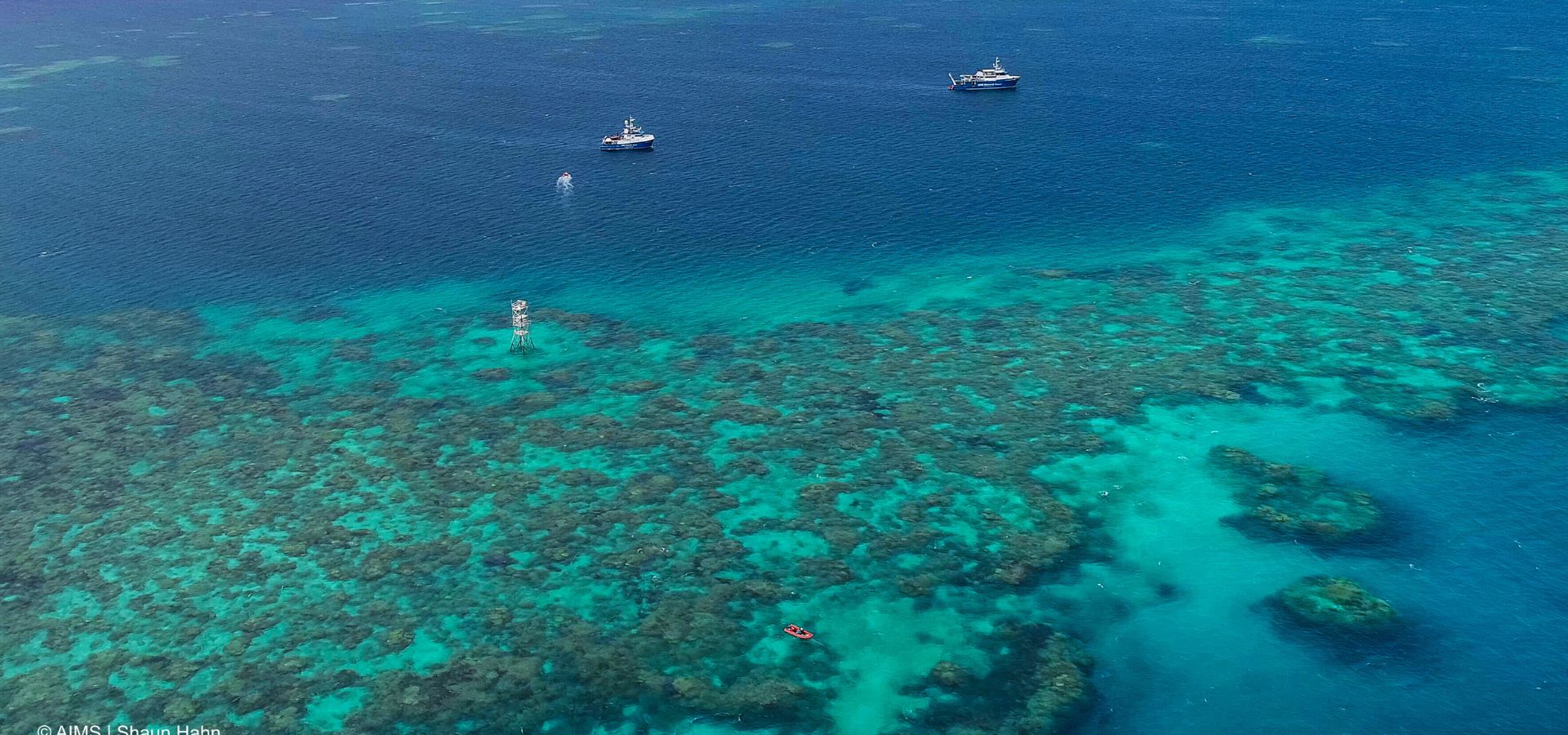 Reef