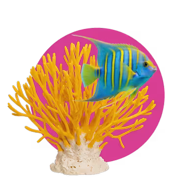 A colourful piece of coral and tropical fish, alongside the text 'from reef stress to reef resilience' and a pink background.